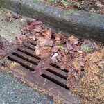 Water Sewer Backup Portland, OR Insurance Agent