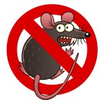 Prevent Rodents and Rodent Damage in Portland, OR